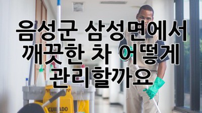 음성군 삼성면에서 깨끗한 차, 어떻게 관리할까요?