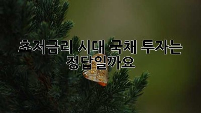 초저금리 시대, 국채 투자는 정답일까요? 🤔
